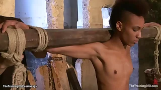 442 bigcock porn videos